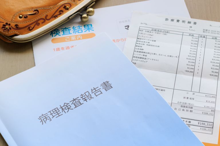 フランスの医療システムとワクチン接種に関する考察